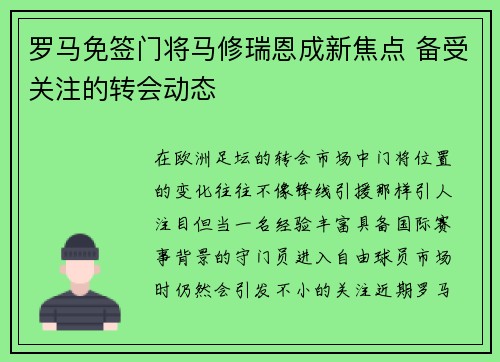 罗马免签门将马修瑞恩成新焦点 备受关注的转会动态